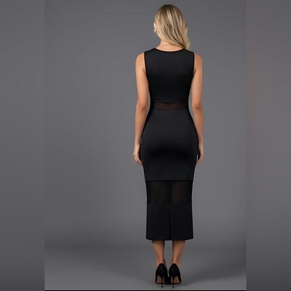 Black Bodycon Mesh Split Back Dress - Picture 4 of 9